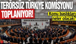 Milli Dayanışma, Kardeşlik Ve Demokrasi Komisyonu Başkanlığına görüşlerimizi iletebilmek için talepte bulunduk